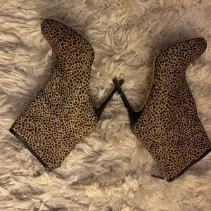 Ann Taylor Calf-Hair Carmel Brown Bootie with Black Pipping👢